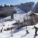 Alpesi faház Danois *