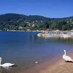 Danois Alpesi faház Gérardmer