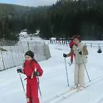 Danois Alpesi faház Gérardmer