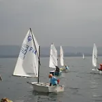 Danois * Gérardmer