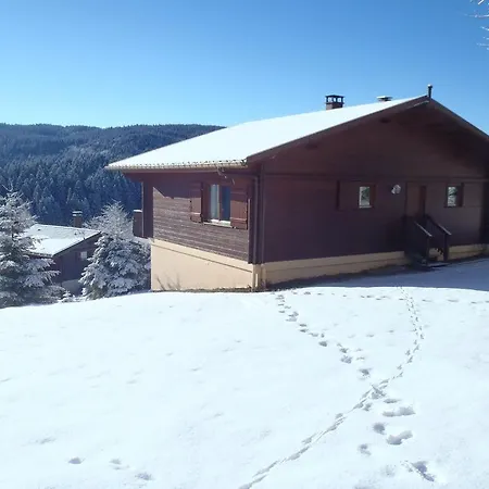 Danois * Gerardmer
