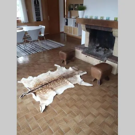 Danois Chalet Gerardmer