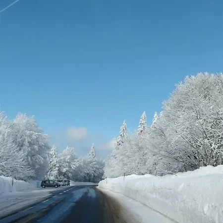 Danois * Gerardmer
