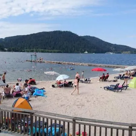 Danois * Gerardmer