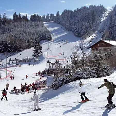 Chalet Danois *