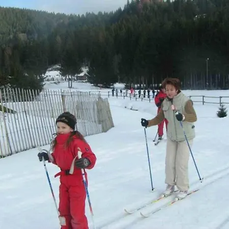 Danois Chalet Gerardmer