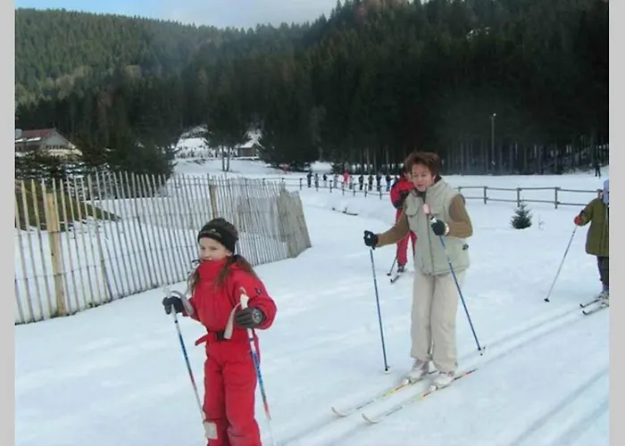 Danois Horská chata Gérardmer